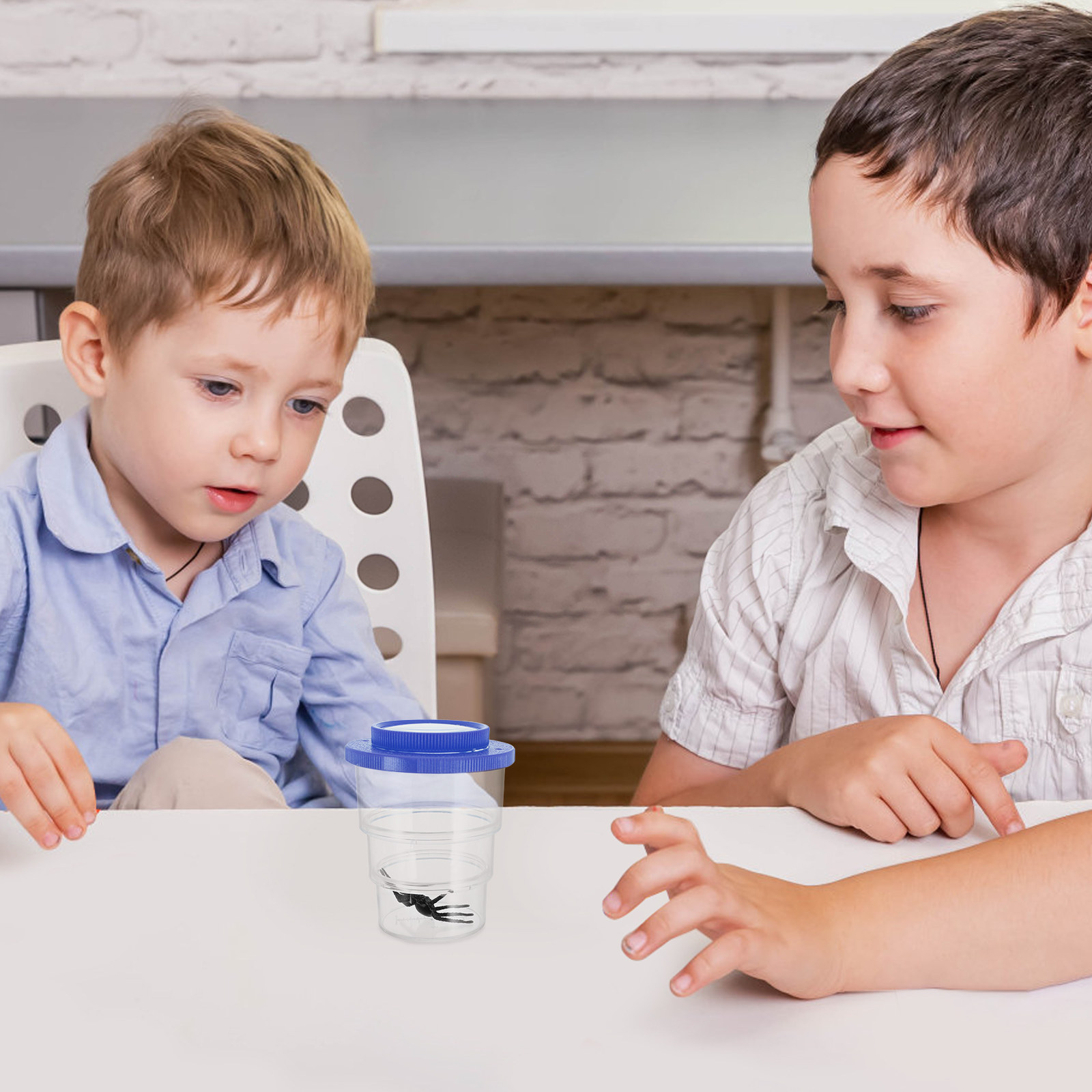 Science Toy - Caja de observación de insectos de