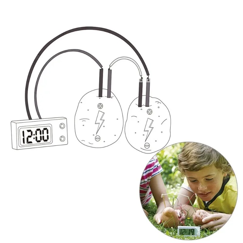 Science Nature - Nuevo Juguete Montessori para Niños, Juguete