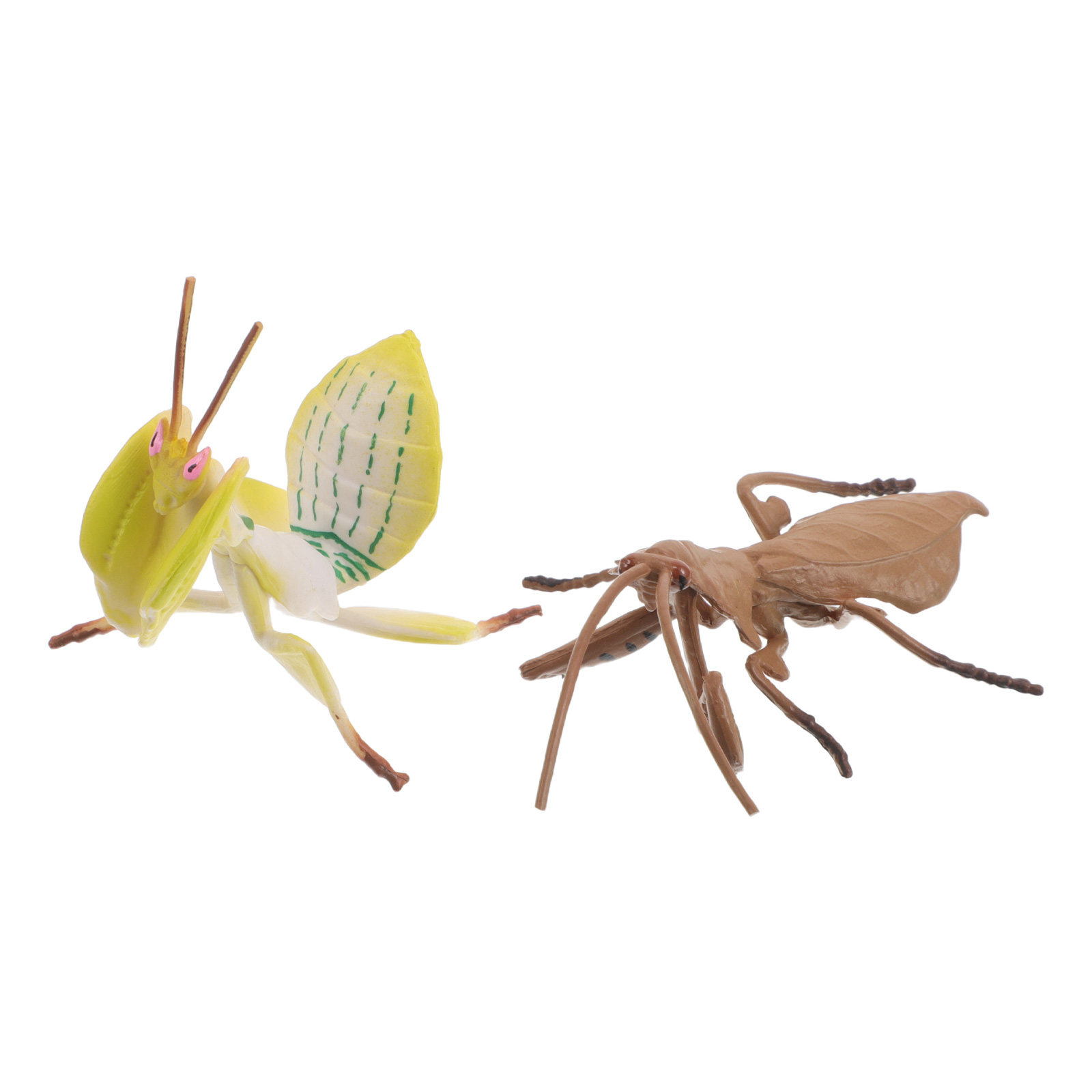 Modelos realistas de mantis re - Science Toy reseña y precio