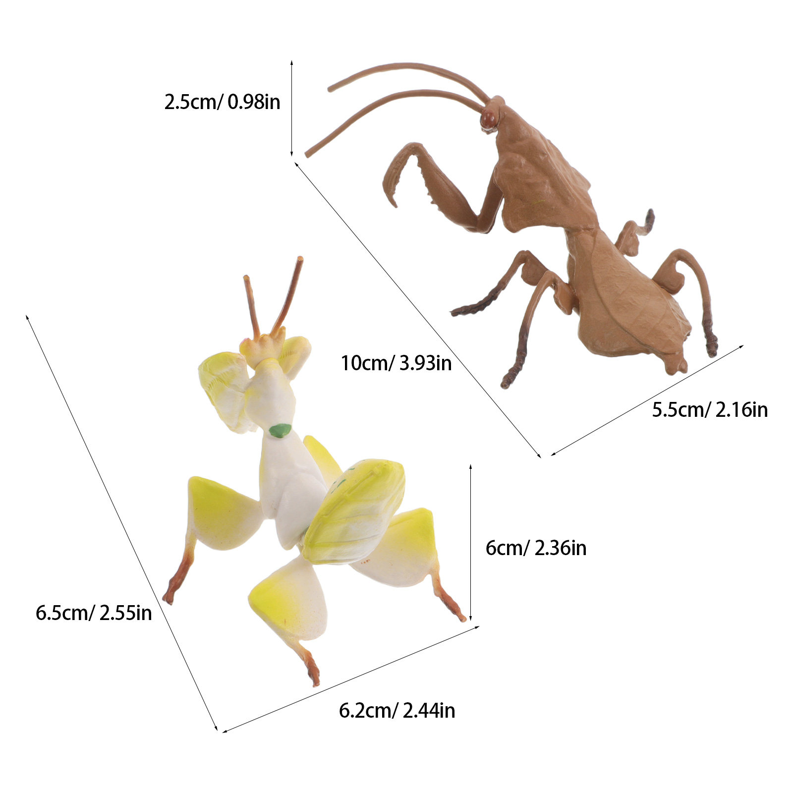 Modelos realistas de mantis re - Science Toy reseña y precio