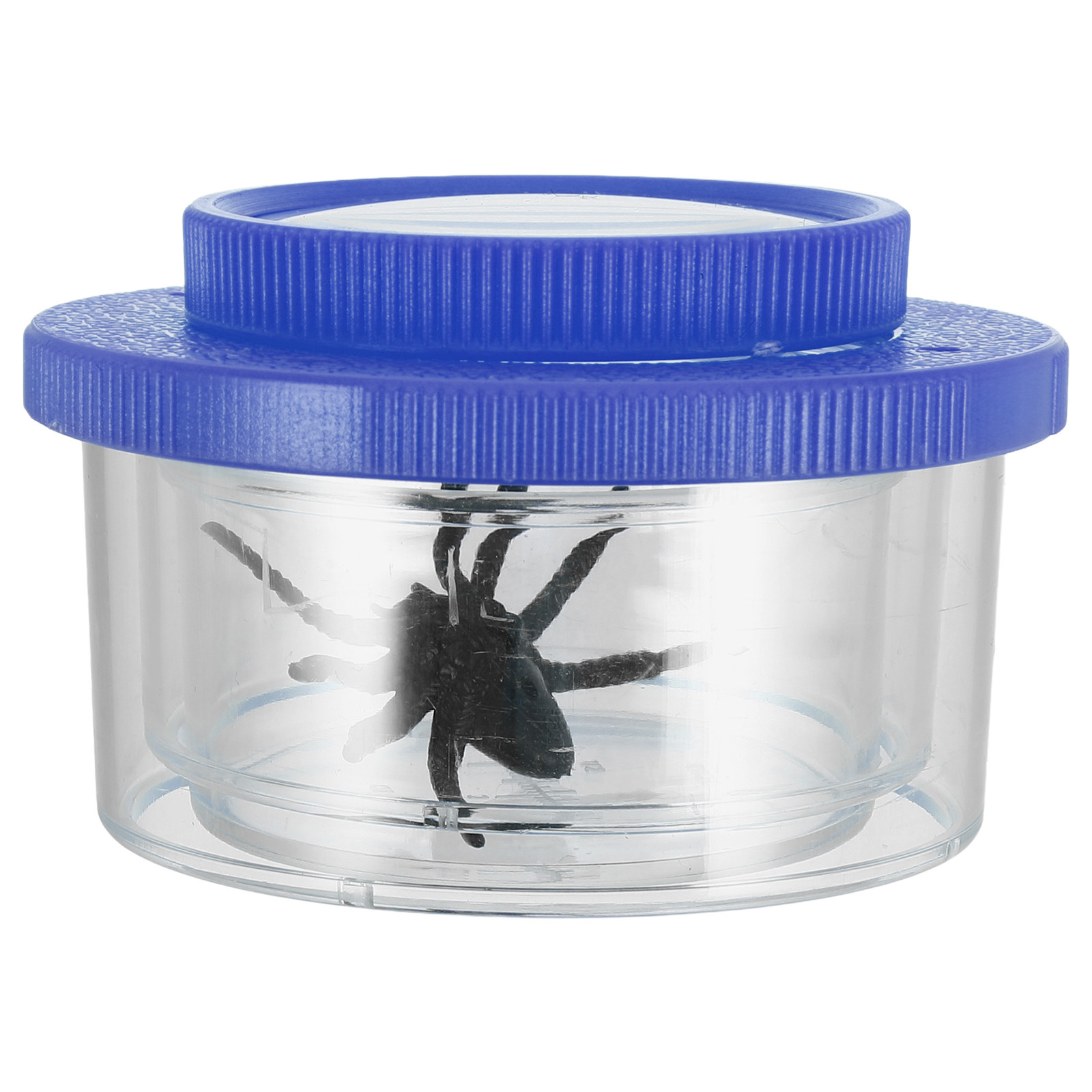 Kit de observación de insectos - Science Toy reseña y precio